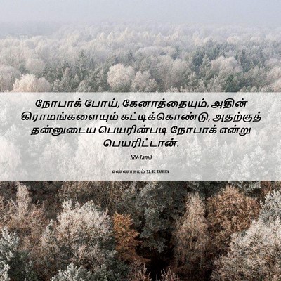Picture 06 - எண்ணாகமம் 32:42 TAMIRV - நோபாக் போய், - Bible Verse Picture