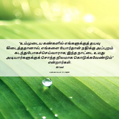 Picture 06 - எண்ணாகமம் 32:5 TAMIRV - “உம்முடைய - Bible Verse Picture