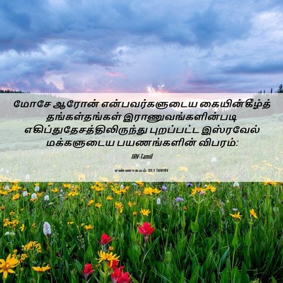 Picture 06 - எண்ணாகமம் 33:1 TAMIRV - மோசே ஆரோன் - Bible Verse Picture