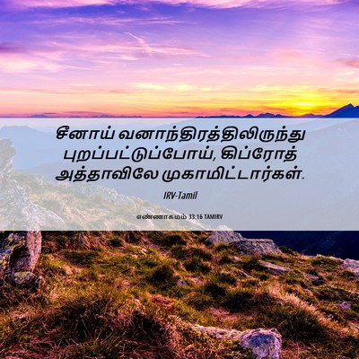 Picture 06 - எண்ணாகமம் 33:16 TAMIRV - சீனாய் - Bible Verse Picture