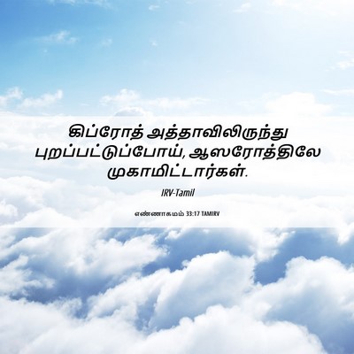Picture 06 - எண்ணாகமம் 33:17 TAMIRV - கிப்ரோத் - Bible Verse Picture