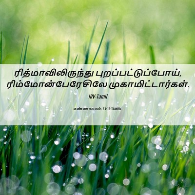 Picture 06 - எண்ணாகமம் 33:19 TAMIRV - ரித்மாவிலிருந்து - Bible Verse Picture
