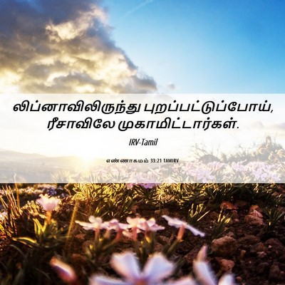 Picture 06 - எண்ணாகமம் 33:21 TAMIRV - லிப்னாவிலிருந்து - Bible Verse Picture