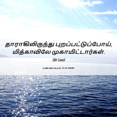 Picture 06 - எண்ணாகமம் 33:28 TAMIRV - தாராகிலிருந்து - Bible Verse Picture