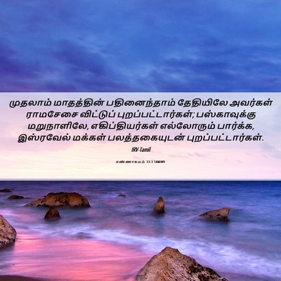 Picture 06 - எண்ணாகமம் 33:3 TAMIRV - முதலாம் மாதத்தின் - Bible Verse Picture