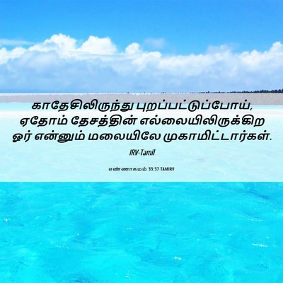 Picture 06 - எண்ணாகமம் 33:37 TAMIRV - காதேசிலிருந்து - Bible Verse Picture