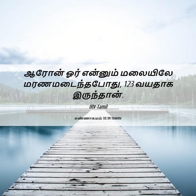 Picture 06 - எண்ணாகமம் 33:39 TAMIRV - ஆரோன் ஓர் என்னும் - Bible Verse Picture