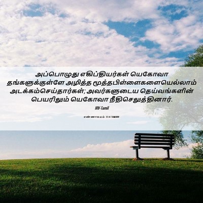 Picture 06 - எண்ணாகமம் 33:4 TAMIRV - அப்பொழுது - Bible Verse Picture