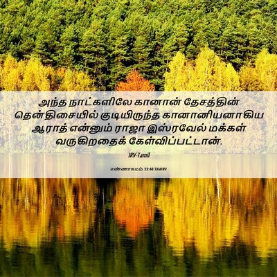 Picture 06 - எண்ணாகமம் 33:40 TAMIRV - அந்த நாட்களிலே - Bible Verse Picture