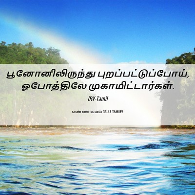 Picture 06 - எண்ணாகமம் 33:43 TAMIRV - பூனோனிலிருந்து - Bible Verse Picture