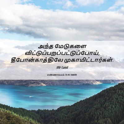 Picture 06 - எண்ணாகமம் 33:45 TAMIRV - அந்த மேடுகளை - Bible Verse Picture