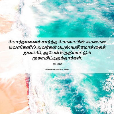 Picture 06 - எண்ணாகமம் 33:49 TAMIRV - யோர்தானைச் - Bible Verse Picture