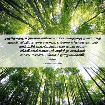 Picture 06 - எண்ணாகமம் 33:52 TAMIRV - அத்தேசத்துக் - Bible Verse Picture