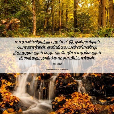 Picture 06 - எண்ணாகமம் 33:9 TAMIRV - மாராவிலிருந்து - Bible Verse Picture