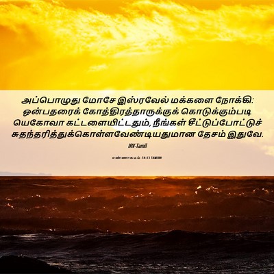 Picture 06 - எண்ணாகமம் 34:13 TAMIRV - அப்பொழுது மோசே - Bible Verse Picture
