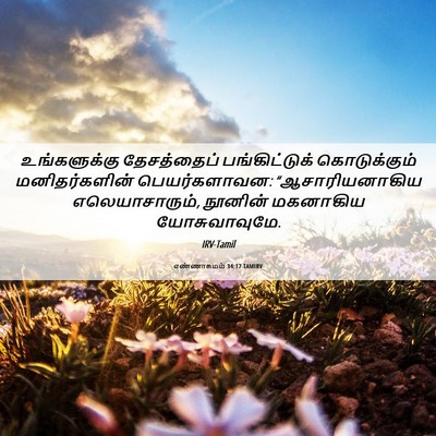 Picture 06 - எண்ணாகமம் 34:17 TAMIRV - உங்களுக்கு - Bible Verse Picture