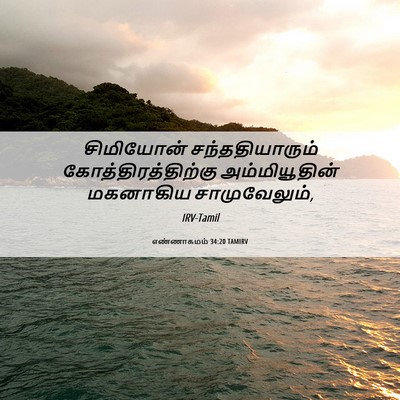 Picture 06 - எண்ணாகமம் 34:20 TAMIRV - சிமியோன் - Bible Verse Picture
