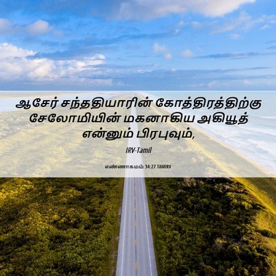 Picture 06 - எண்ணாகமம் 34:27 TAMIRV - ஆசேர் - Bible Verse Picture