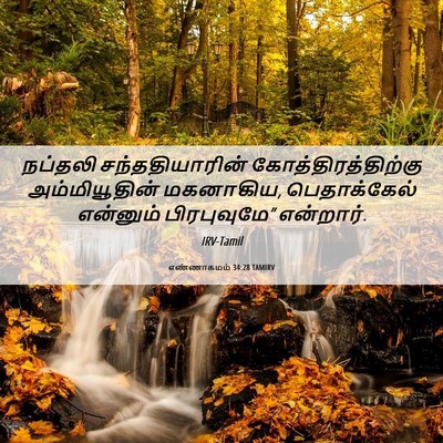Picture 06 - எண்ணாகமம் 34:28 TAMIRV - நப்தலி - Bible Verse Picture