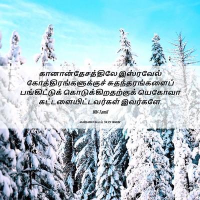 Picture 06 - எண்ணாகமம் 34:29 TAMIRV - கானான்தேசத்திலே - Bible Verse Picture