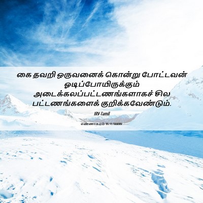Picture 06 - எண்ணாகமம் 35:11 TAMIRV - கை தவறி ஒருவனைக் - Bible Verse Picture