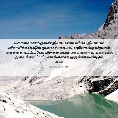 Picture 06 - எண்ணாகமம் 35:12 TAMIRV - கொலைசெய்தவன் - Bible Verse Picture