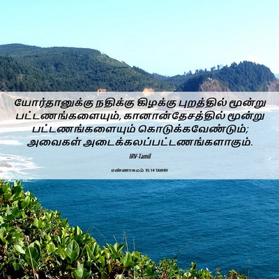 Picture 06 - எண்ணாகமம் 35:14 TAMIRV - யோர்தானுக்கு - Bible Verse Picture