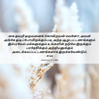 Picture 06 - எண்ணாகமம் 35:15 TAMIRV - கை தவறி ஒருவனைக் - Bible Verse Picture