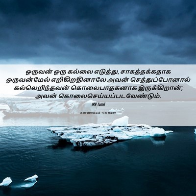 Picture 06 - எண்ணாகமம் 35:17 TAMIRV - ஒருவன் ஒரு கல்லை - Bible Verse Picture