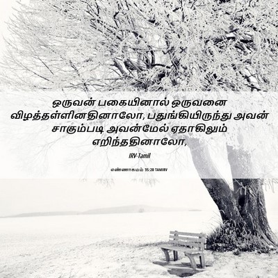Picture 06 - எண்ணாகமம் 35:20 TAMIRV - ஒருவன் பகையினால் - Bible Verse Picture
