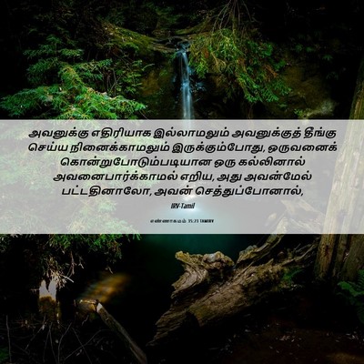 Picture 06 - எண்ணாகமம் 35:23 TAMIRV - அவனுக்கு எதிரியாக - Bible Verse Picture
