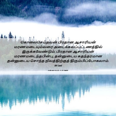 Picture 06 - எண்ணாகமம் 35:28 TAMIRV - கொலைசெய்தவன் - Bible Verse Picture