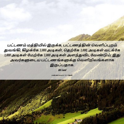 Picture 06 - எண்ணாகமம் 35:5 TAMIRV - பட்டணம் மத்தியில் - Bible Verse Picture