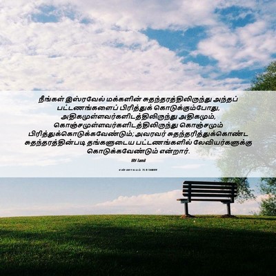 Picture 06 - எண்ணாகமம் 35:8 TAMIRV - நீங்கள் இஸ்ரவேல் - Bible Verse Picture