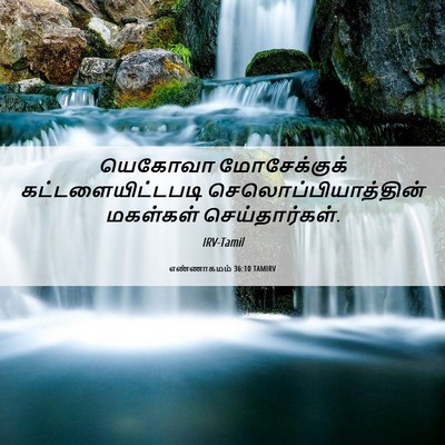Picture 06 - எண்ணாகமம் 36:10 TAMIRV - யெகோவா மோசேக்குக் - Bible Verse Picture