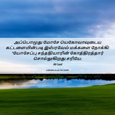 Picture 06 - எண்ணாகமம் 36:5 TAMIRV - அப்பொழுது மோசே - Bible Verse Picture