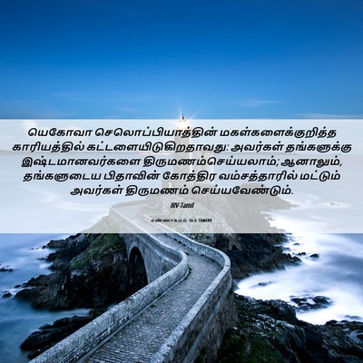 Picture 06 - எண்ணாகமம் 36:6 TAMIRV - யெகோவா - Bible Verse Picture