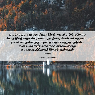 Picture 06 - எண்ணாகமம் 36:9 TAMIRV - சுதந்தரமானது ஒரு - Bible Verse Picture