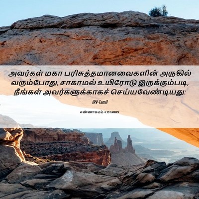 Picture 06 - எண்ணாகமம் 4:19 TAMIRV - அவர்கள் மகா - Bible Verse Picture