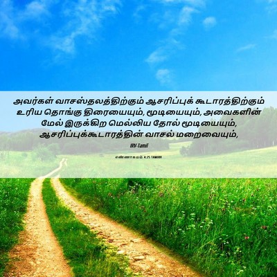 Picture 06 - எண்ணாகமம் 4:25 TAMIRV - அவர்கள் - Bible Verse Picture