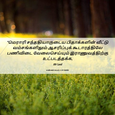 Picture 06 - எண்ணாகமம் 4:29 TAMIRV - “மெராரி - Bible Verse Picture