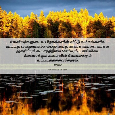 Picture 06 - எண்ணாகமம் 4:46 TAMIRV - லேவியர்களுடைய - Bible Verse Picture