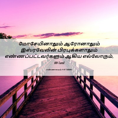 Picture 06 - எண்ணாகமம் 4:47 TAMIRV - மோசேயினாலும் - Bible Verse Picture