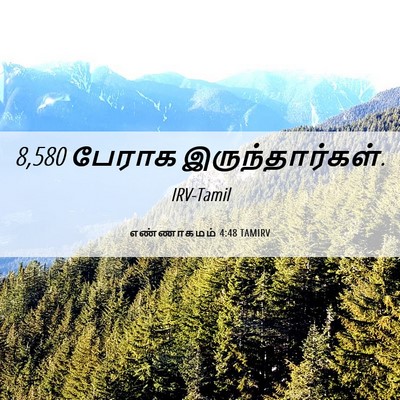 Picture 06 - எண்ணாகமம் 4:48 TAMIRV - 8,580 பேராக - Bible Verse Picture