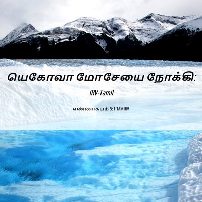 Picture 06 - எண்ணாகமம் 5:1 TAMIRV - யெகோவா மோசேயை - Bible Verse Picture
