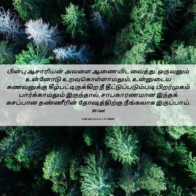 Picture 06 - எண்ணாகமம் 5:19 TAMIRV - பின்பு ஆசாரியன் - Bible Verse Picture