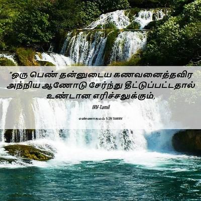 Picture 06 - எண்ணாகமம் 5:29 TAMIRV - “ஒரு பெண் - Bible Verse Picture