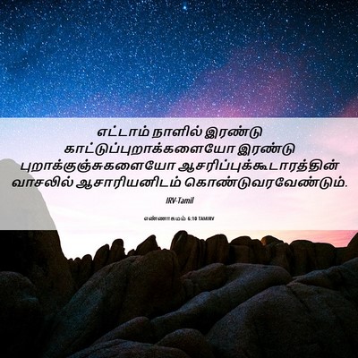 Picture 06 - எண்ணாகமம் 6:10 TAMIRV - எட்டாம் நாளில் - Bible Verse Picture