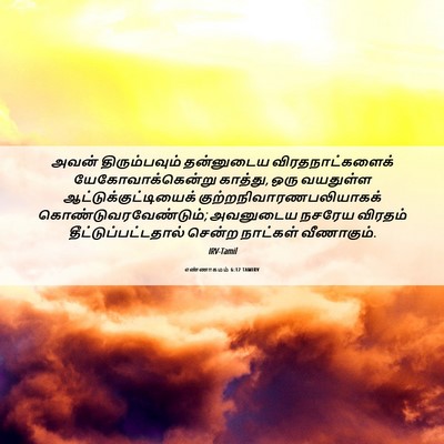 Picture 06 - எண்ணாகமம் 6:12 TAMIRV - அவன் திரும்பவும் - Bible Verse Picture