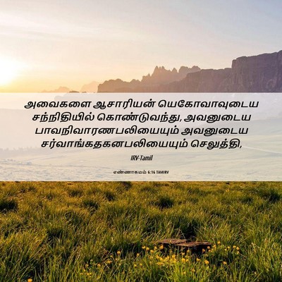 Picture 06 - எண்ணாகமம் 6:16 TAMIRV - அவைகளை ஆசாரியன் - Bible Verse Picture